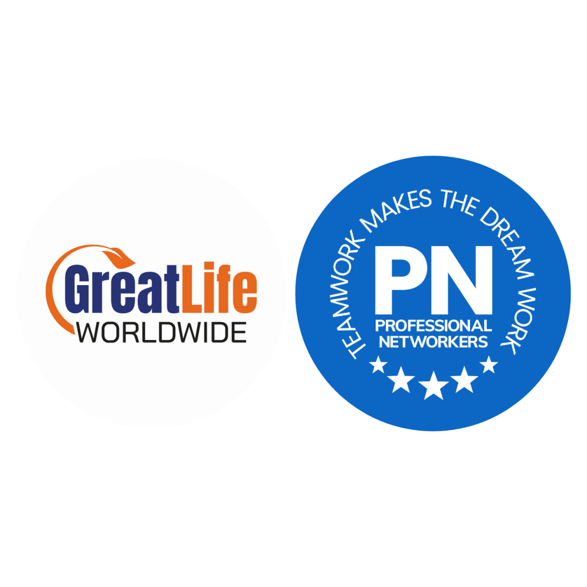 Professional Networkers White Logo